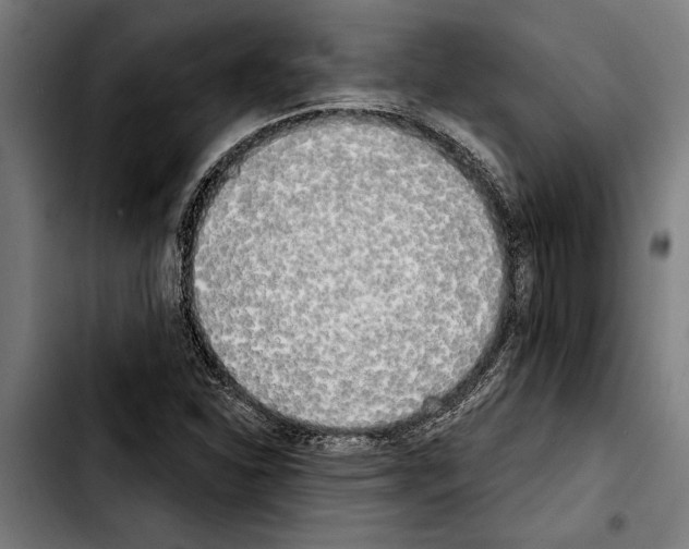 X0000103401310200810241002