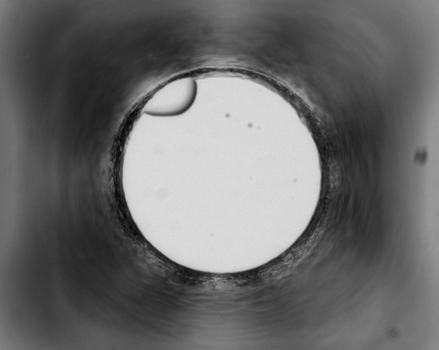 X0000103401311200810241002