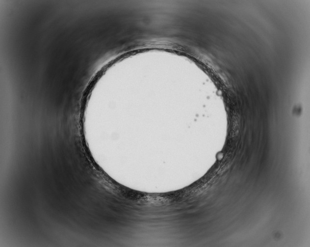 X0000103401312200810241002