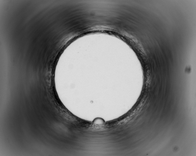 X0000103401313200810241002