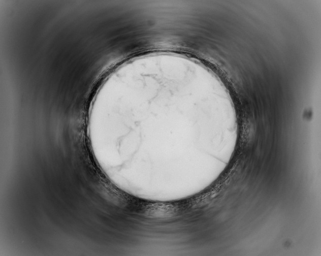 X0000103401314200810241002