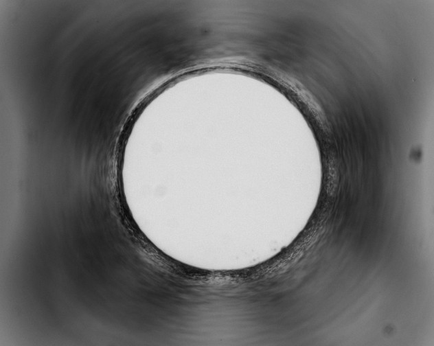 X0000103401316200810241002