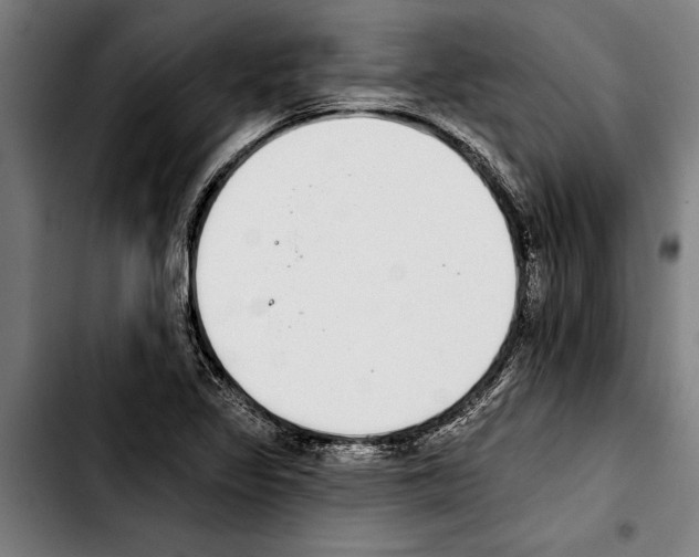 X0000103401317200810241002