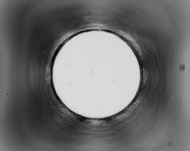 X0000103401318200810241002