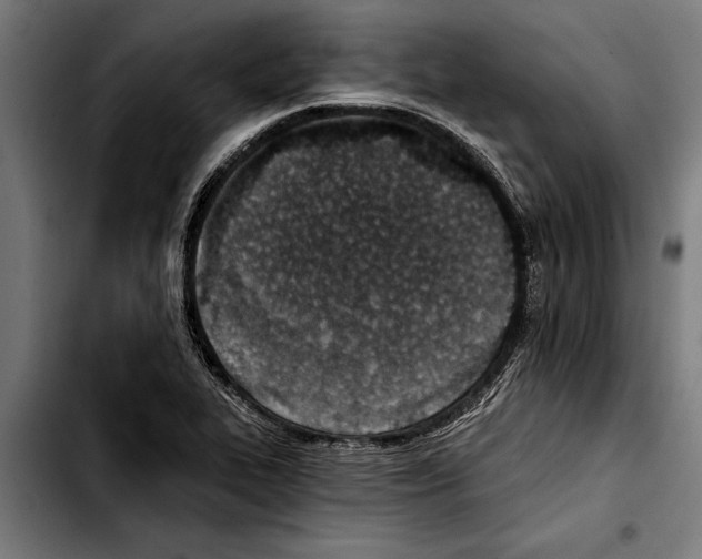 X0000103401319200810241002