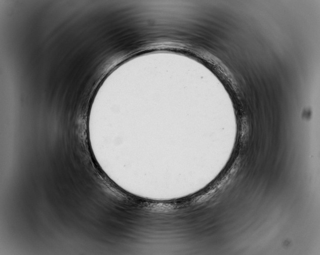 X0000103401321200810241002