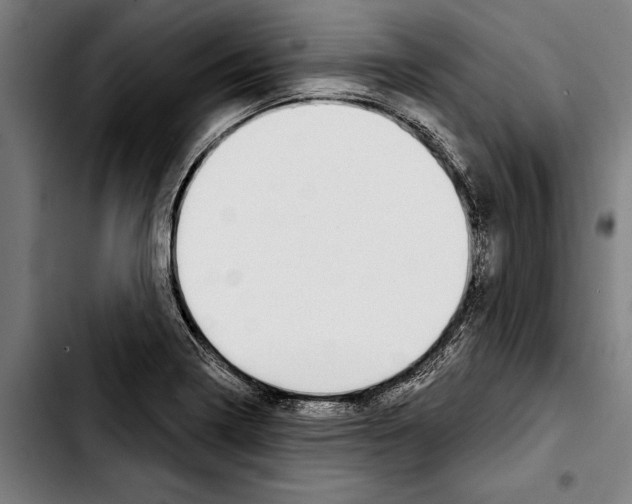 X0000103401322200810241002