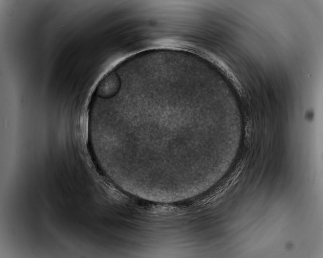 X0000103401323200810241002