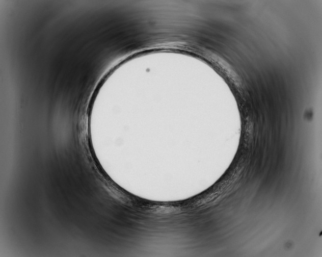 X0000103401324200810241002