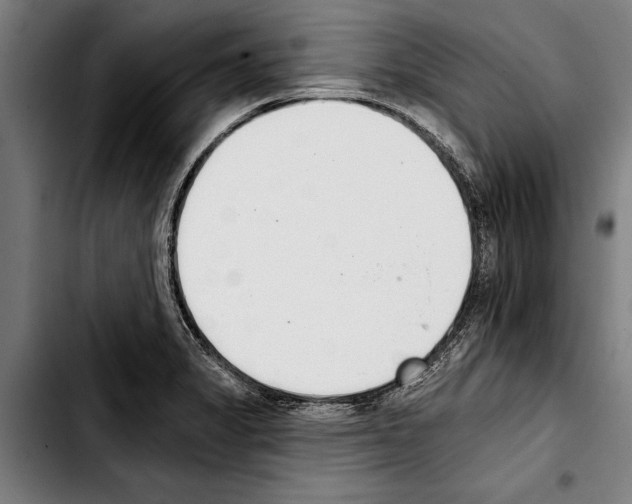 X0000103401325200810241002