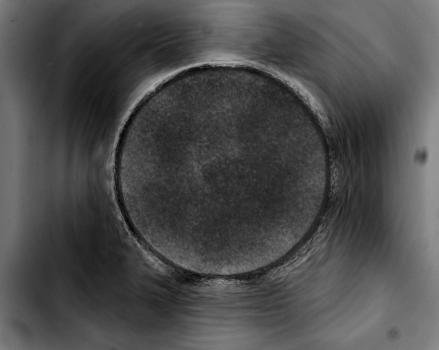 X0000103401327200810241002