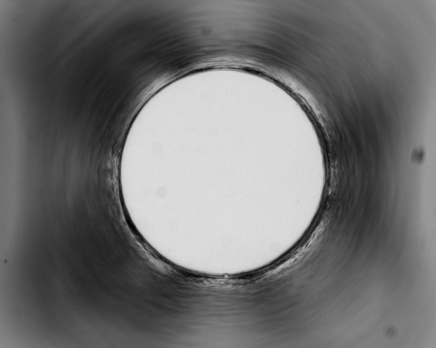 X0000103401329200810241002