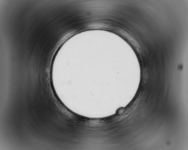 X0000103401330200810241002