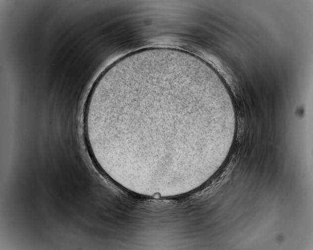 X0000103401331200810241002