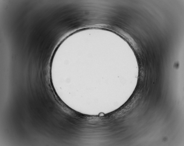 X0000103401332200810241002