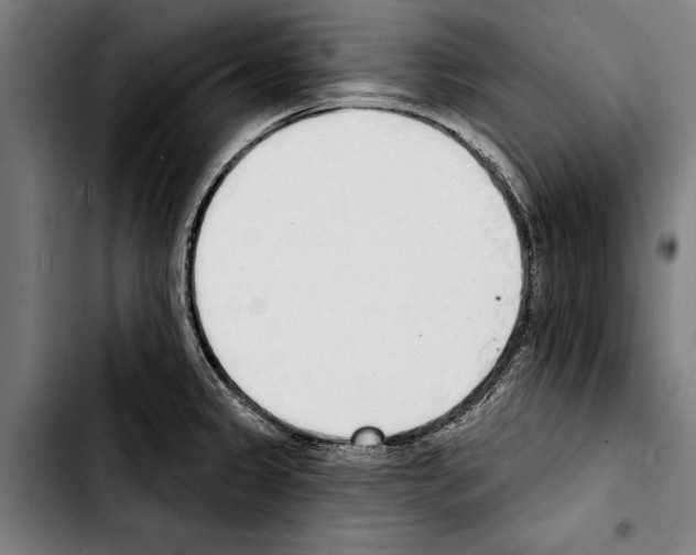 X0000103401333200810241002