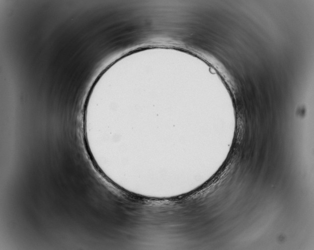 X0000103401335200810241002