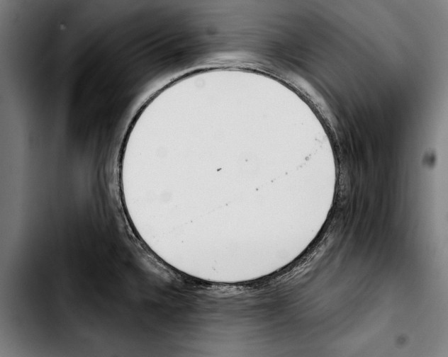 X0000103401336200810241002