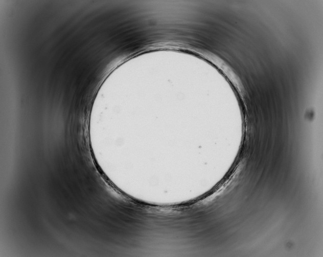 X0000103401337200810241002