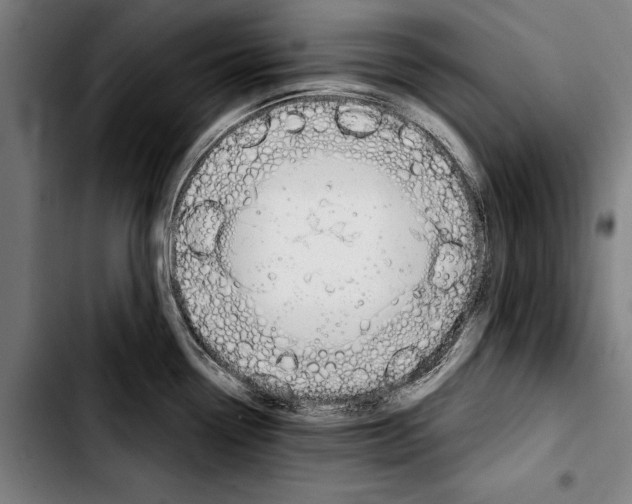 X0000103401338200810241002