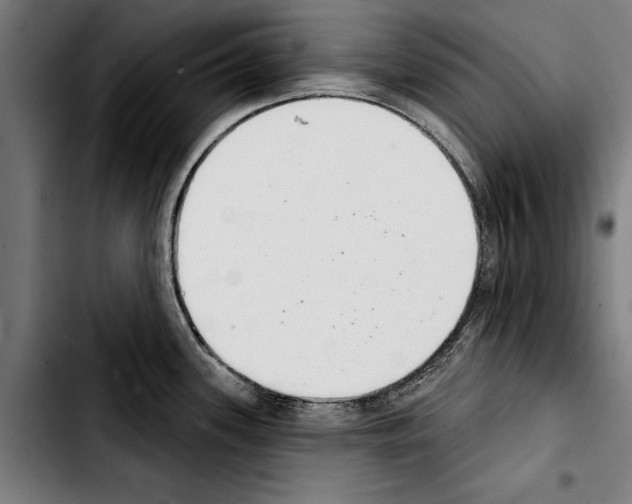 X0000103401339200810241002