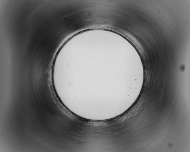 X0000103401340200810241002