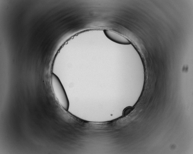 X0000103401344200810241002