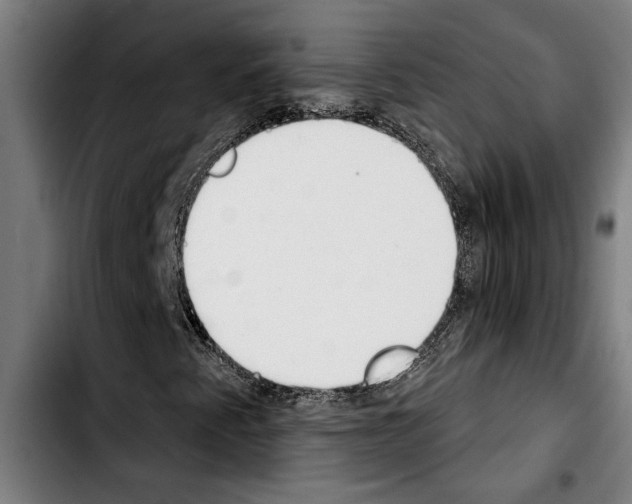 X0000103401345200810241002