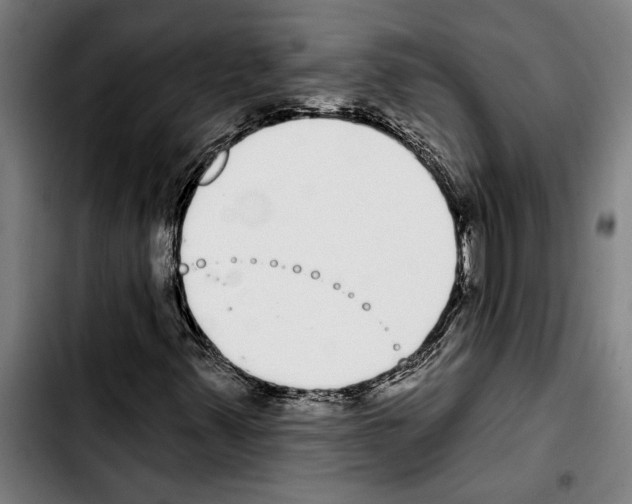 X0000103401347200810241002