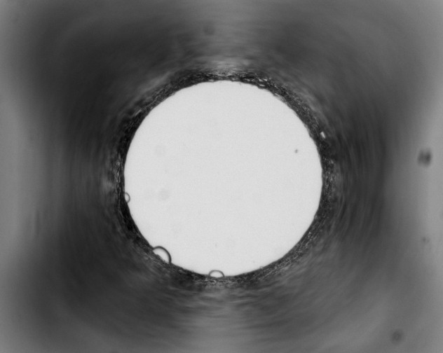 X0000103401349200810241002