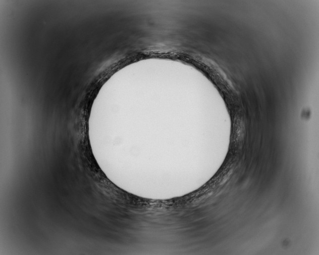 X0000103401350200810241002