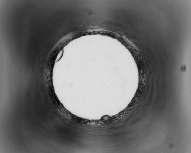 X0000103401351200810241002