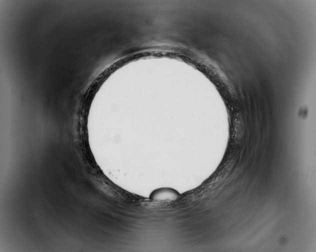 X0000103401352200810241002