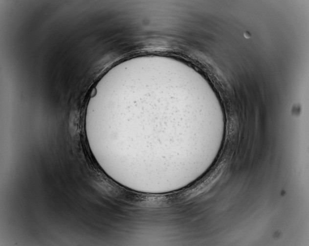 X0000103401353200810241001