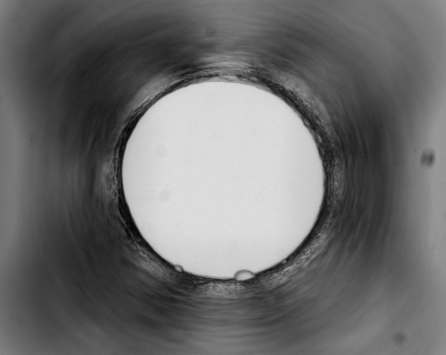 X0000103401354200810241001