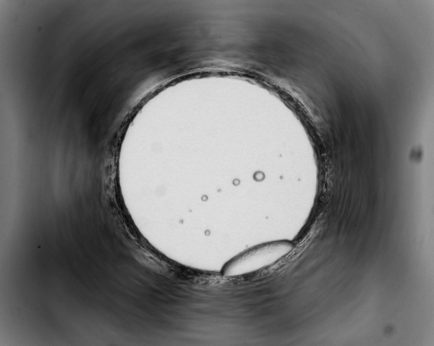 X0000103401355200810241001