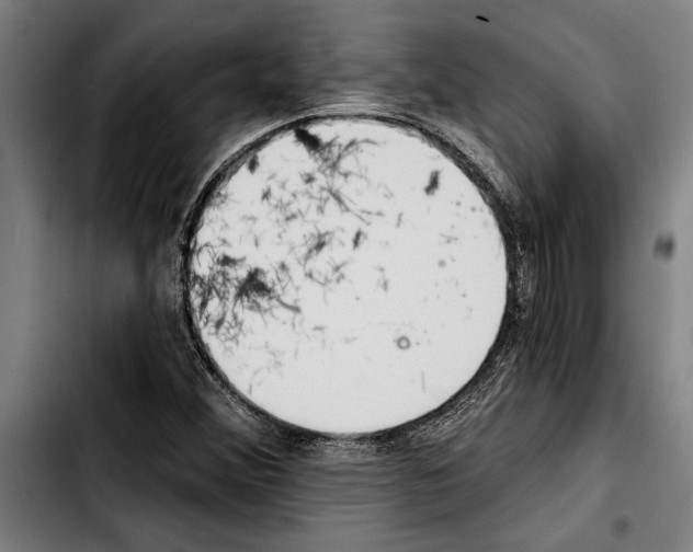 X0000103401356200810241001