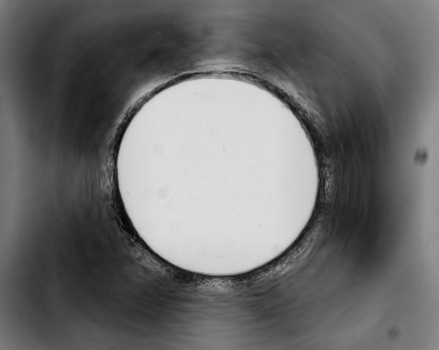 X0000103401358200810241001