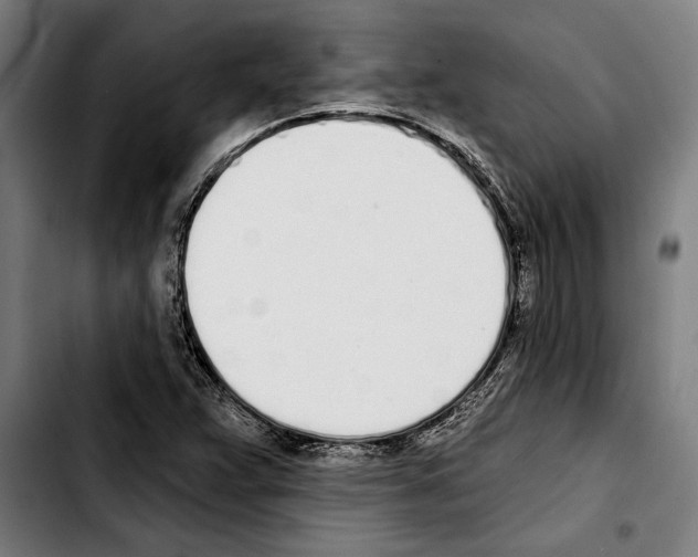 X0000103401359200810241001