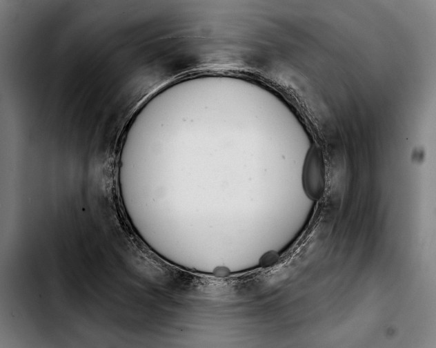 X0000103401361200810241001