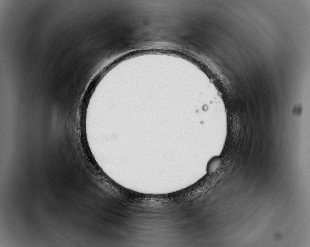 X0000103401364200810241001