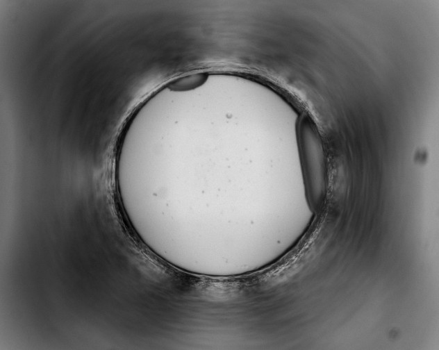 X0000103401365200810241001