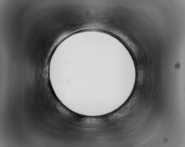 X0000103401366200810241001