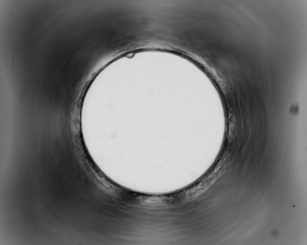 X0000103401367200810241001