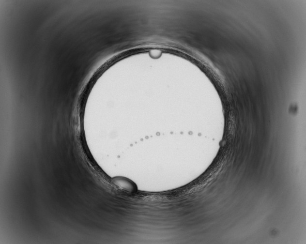 X0000103401368200810241001