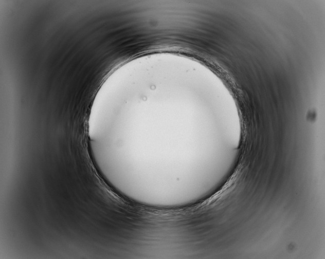 X0000103401369200810241001