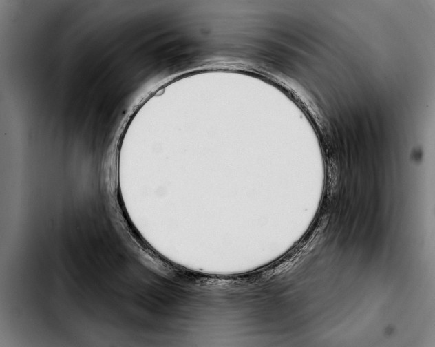 X0000103401371200810241001