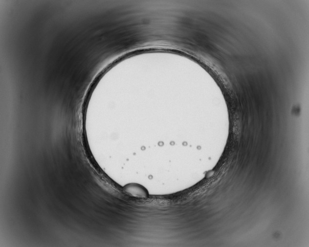 X0000103401372200810241001