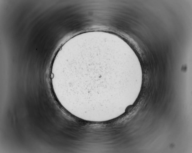 X0000103401373200810241001