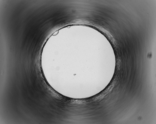 X0000103401374200810241001